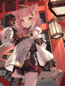 预览