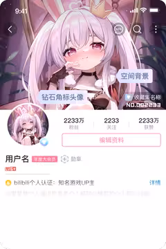 预览