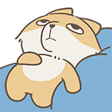 [藏狐公交站_发空]