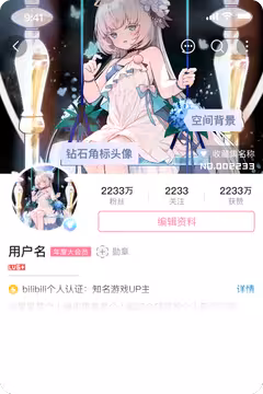 预览
