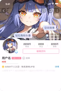 预览