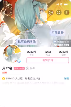 预览