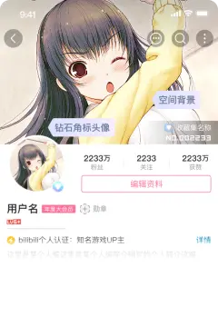预览