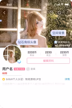 预览