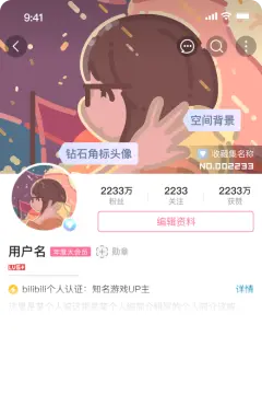 预览