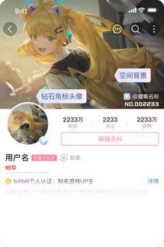 预览