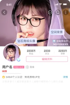 预览