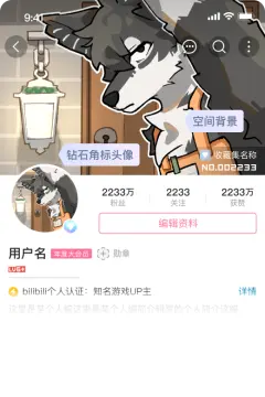 预览