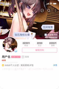 预览