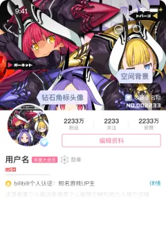 预览