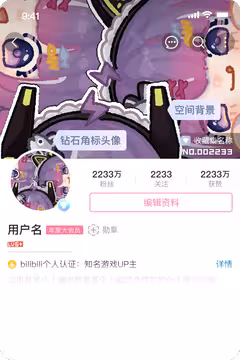 预览