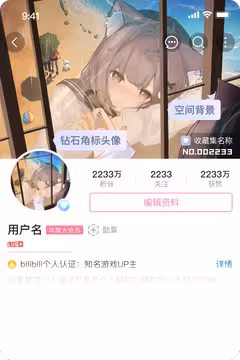 预览