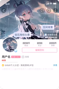 预览