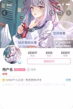 预览