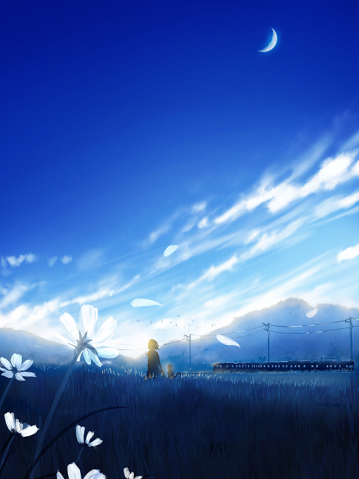 背景