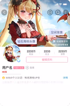 预览
