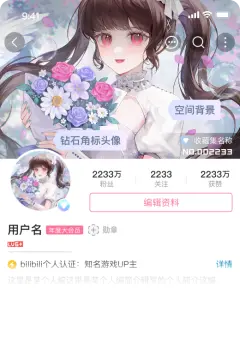 预览