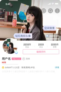 预览