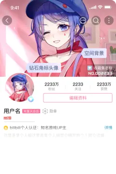 预览