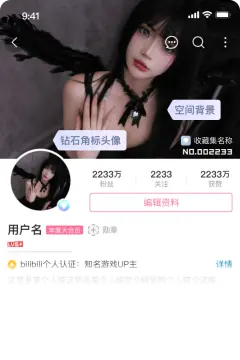 预览