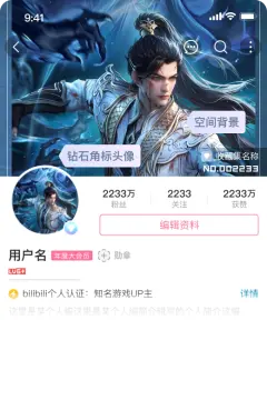 预览