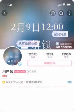 预览
