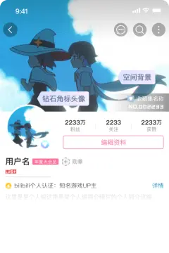 预览