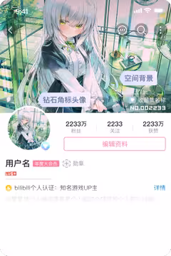 预览