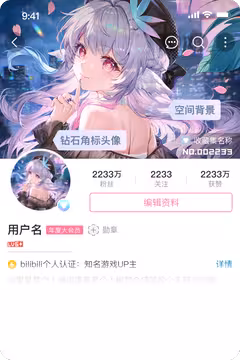 预览