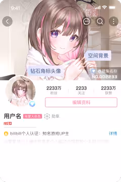 预览