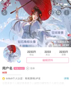 预览