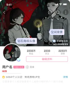 预览
