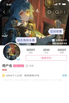 预览