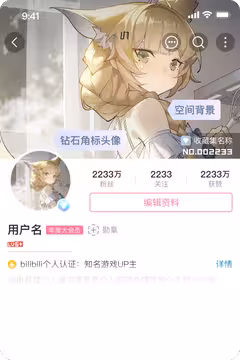 预览