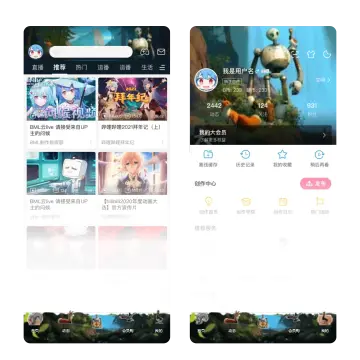预览