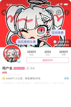 预览