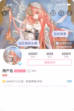 预览