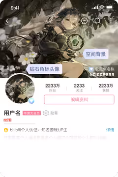 预览