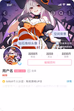 预览