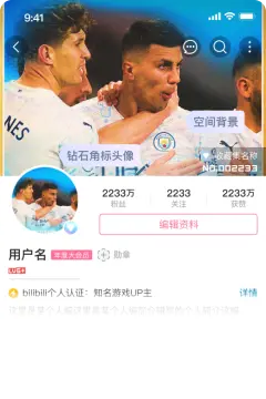 预览