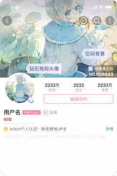 预览