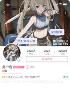 预览