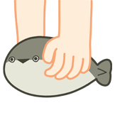 [欧皇甲鱼_提提]