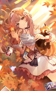 预览