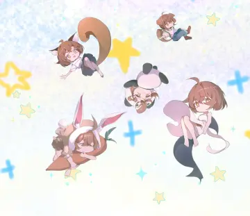 预览
