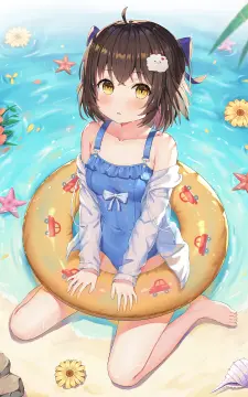 预览