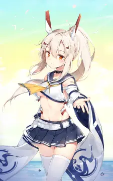 预览