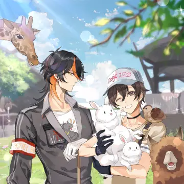 预览