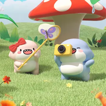 预览
