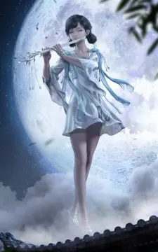 预览